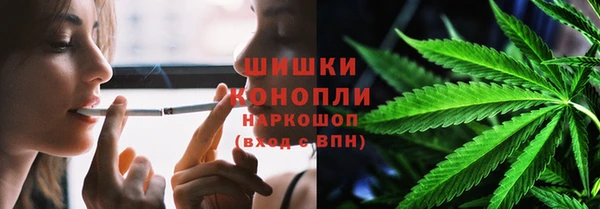 молекула духа Белокуриха