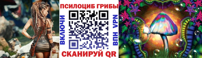 Псилоцибиновые грибы Magic Shrooms Светлогорск